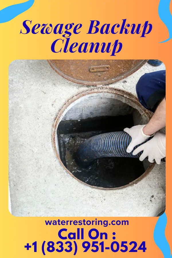 Sewage Backup Cleanup in Watterson Park, KY